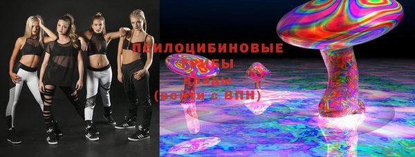 соль ск Алзамай