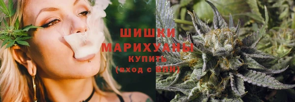 соль ск Алзамай