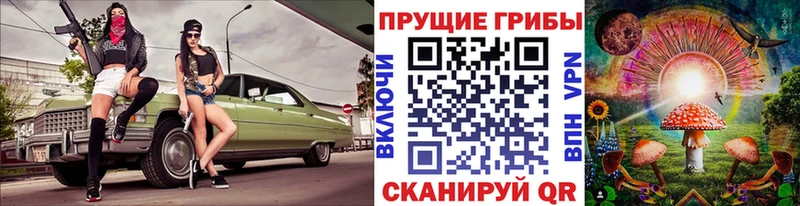 цена   Южно-Сухокумск  Галлюциногенные грибы Psilocybe 